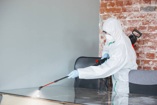 Best Mold Prevention Services  in USA